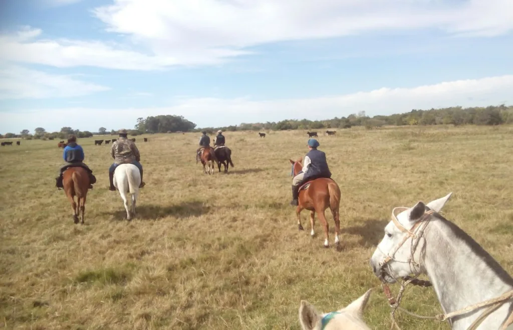 2016 · Cabalgatas del Indio