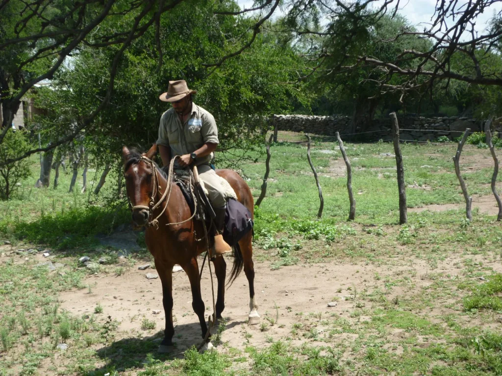 Verano 2016 · Cabalgatas del Indio