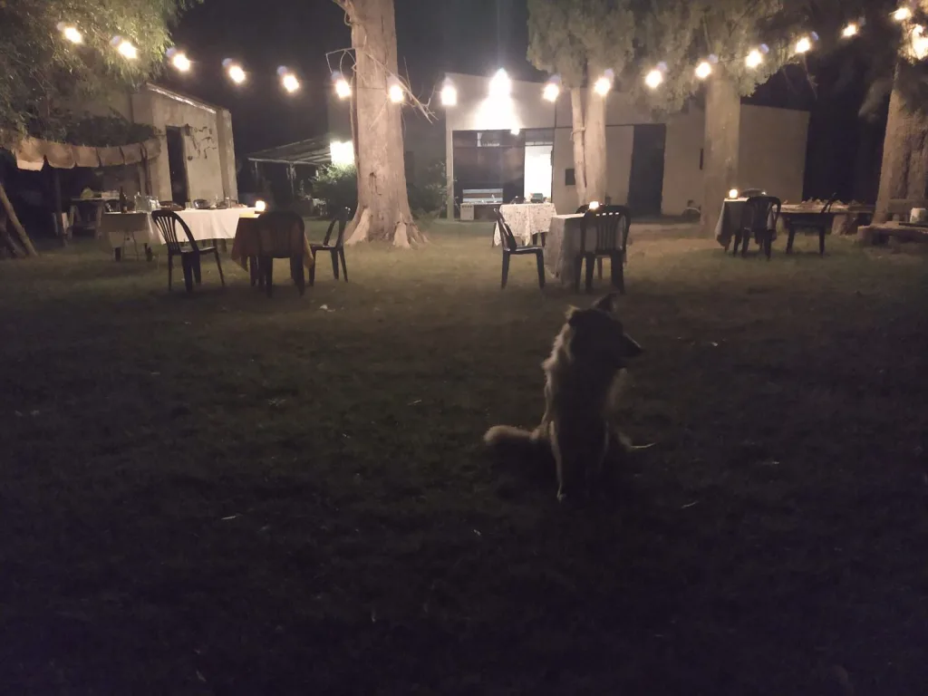 Noches de verano 2021 · Cabalgatas del Indio