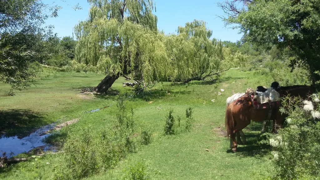Verano 2017 · Cabalgatas del Indio