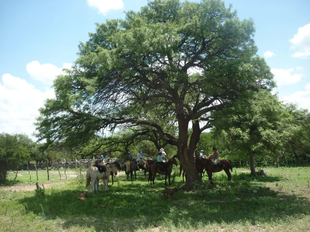 Verano 2016 · Cabalgatas del Indio