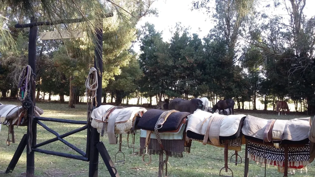 2016 · Cabalgatas del Indio