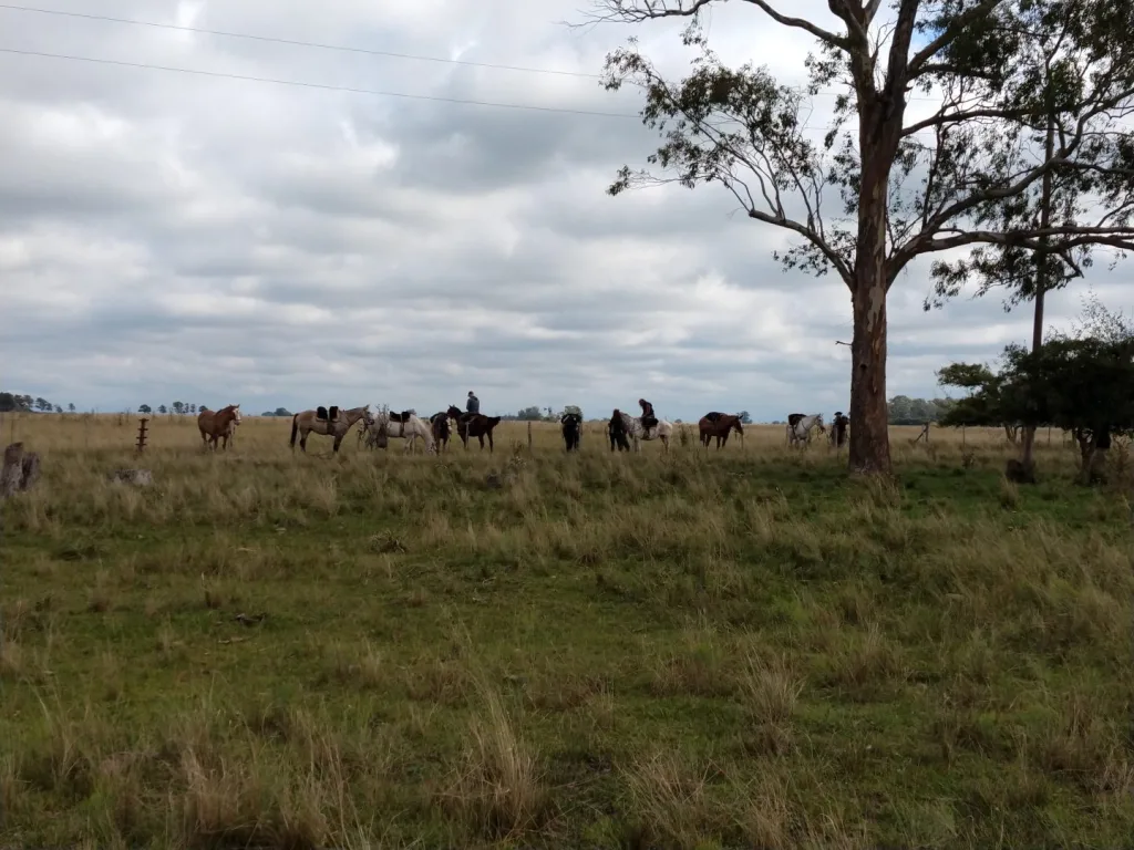 Travesía abril 2021 · Cabalgatas del Indio