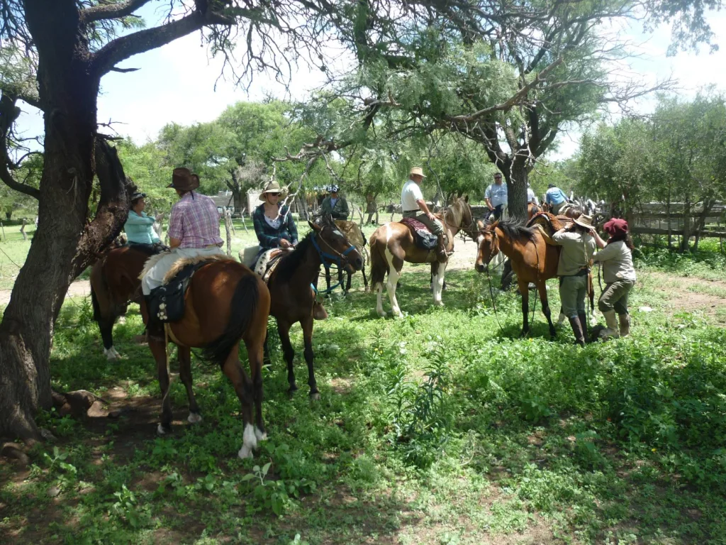 Verano 2016 · Cabalgatas del Indio