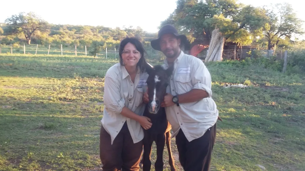 Verano 2017 · Cabalgatas del Indio