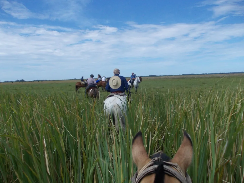 2015 · Cabalgatas del Indio