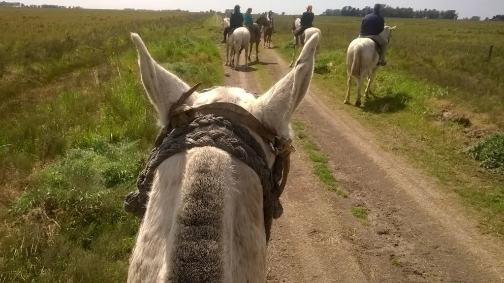 2016 · Cabalgatas del Indio