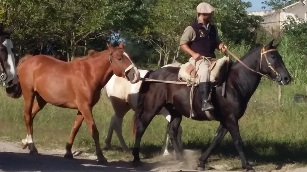 2016 · Cabalgatas del Indio