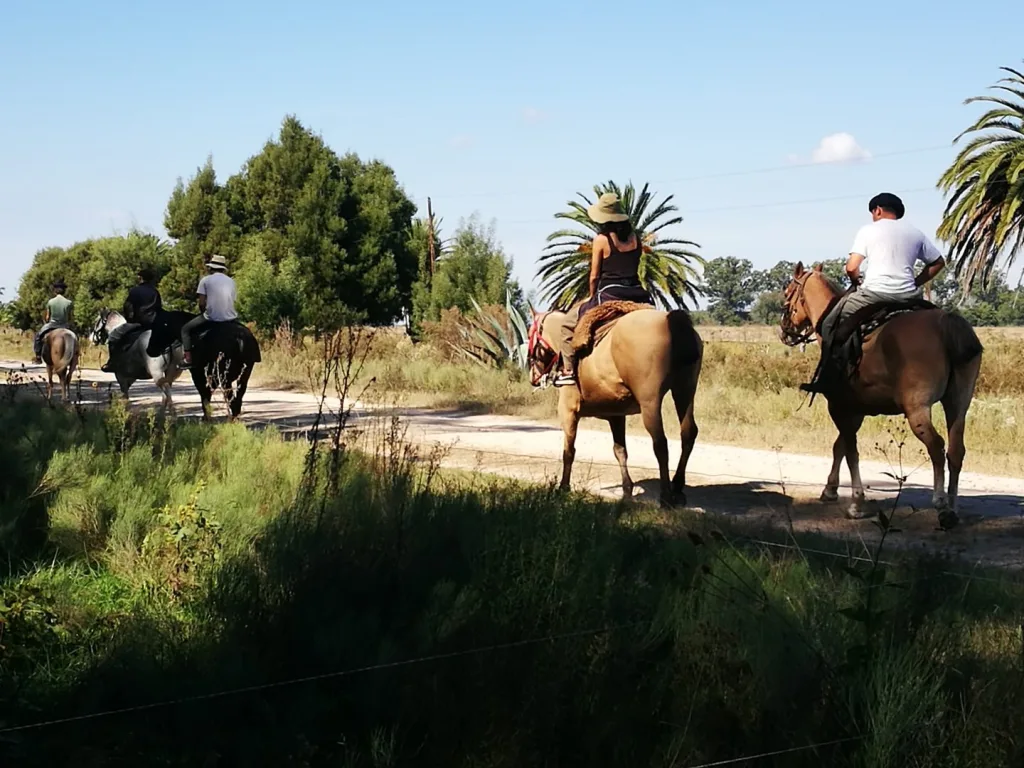 2019 · Cabalgatas del Indio