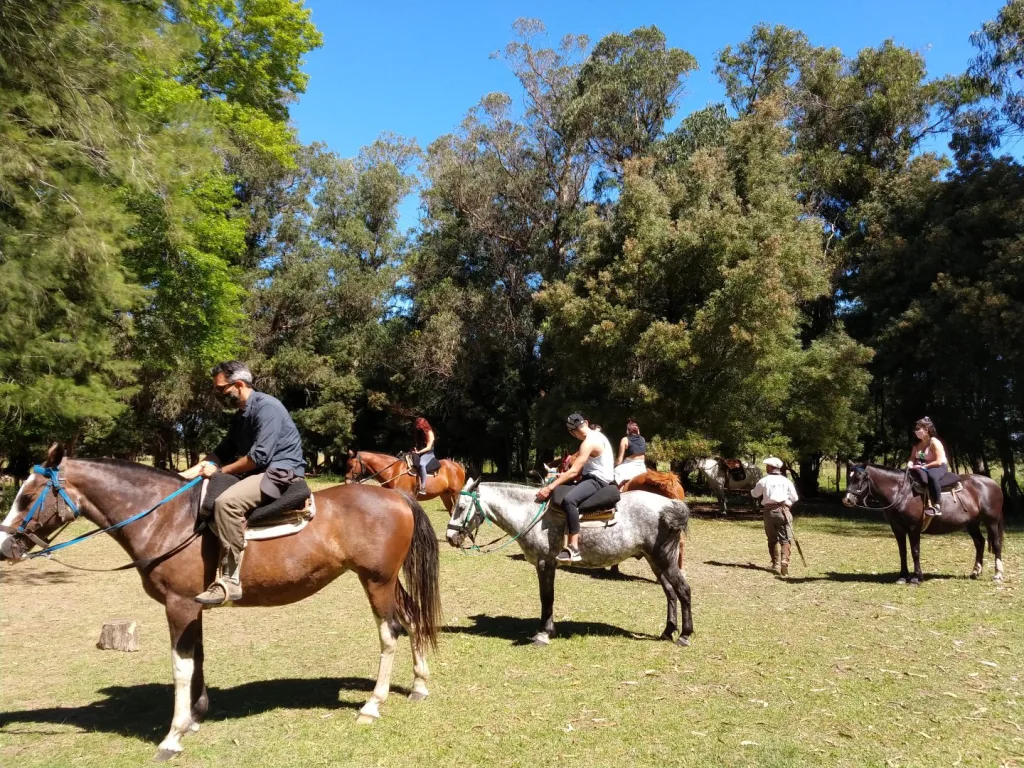 Diciembre 2020 – la vuelta · Cabalgatas del Indio