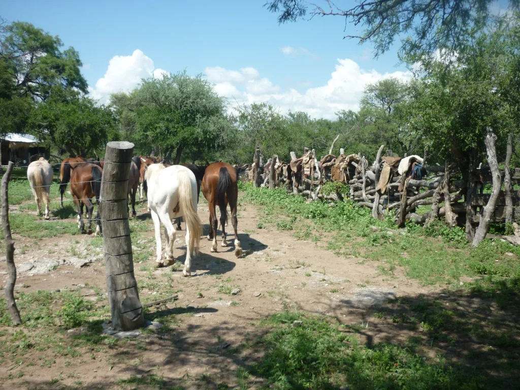 Verano 2016 · Cabalgatas del Indio