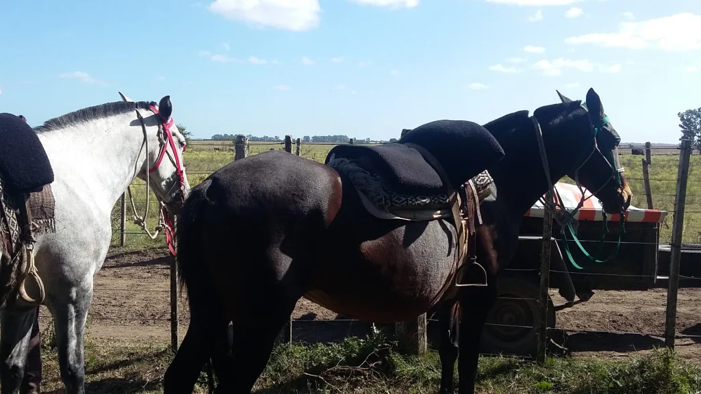 2016 · Cabalgatas del Indio