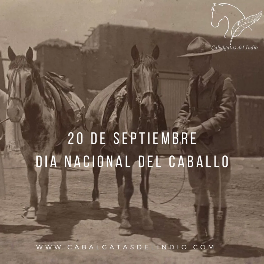 Día del caballo · Cabalgatas del Indio