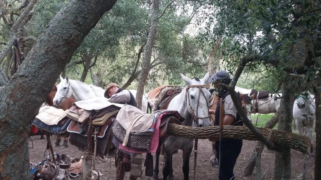 2016 · Cabalgatas del Indio
