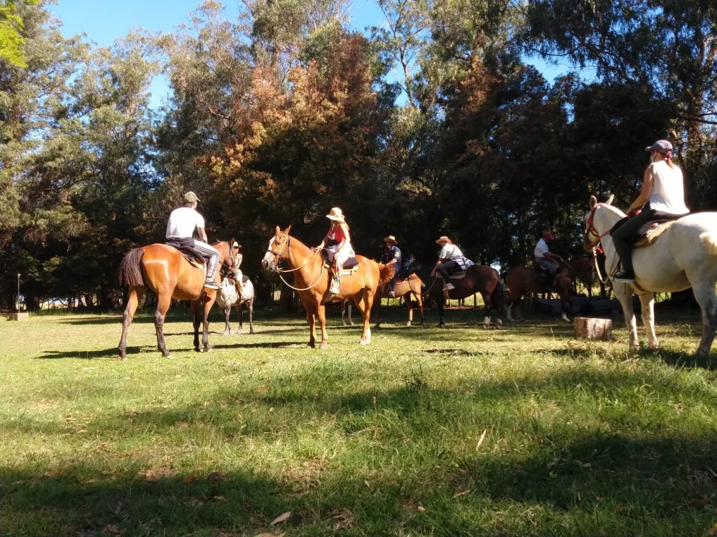 Noches de verano 2021 · Cabalgatas del Indio