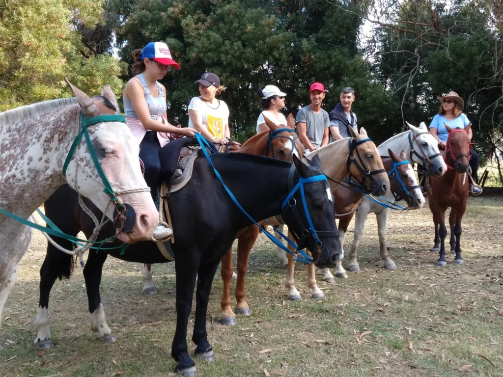 Verano 2020 · Cabalgatas del Indio
