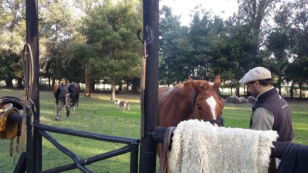 2016 · Cabalgatas del Indio