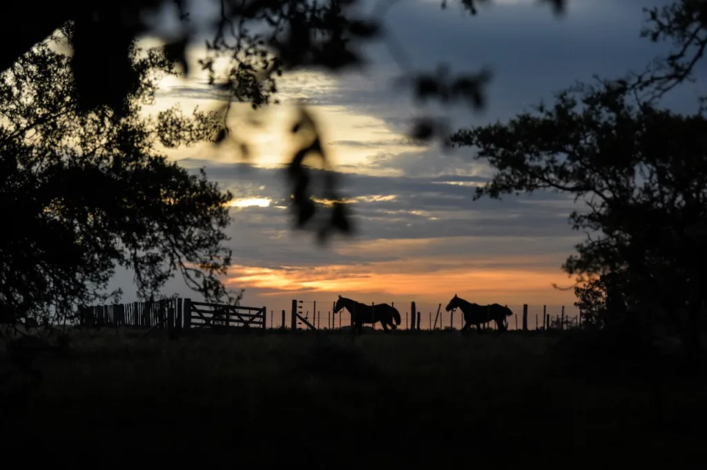 2019 · Cabalgatas del Indio