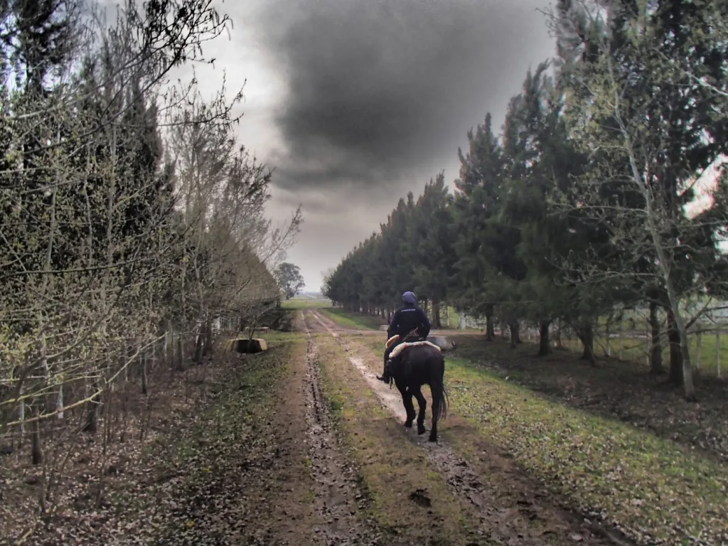 2016 · Cabalgatas del Indio