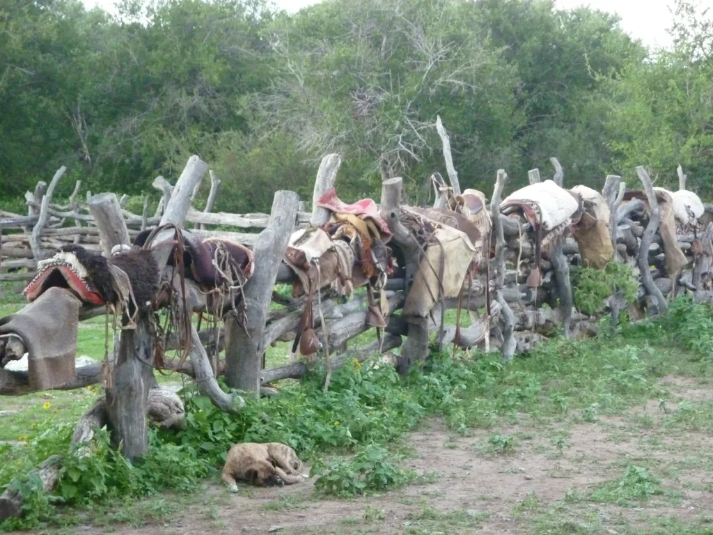 Verano 2016 · Cabalgatas del Indio