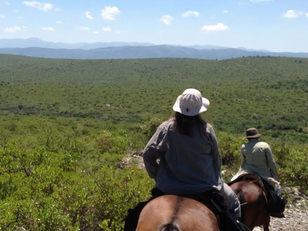 Verano 2017 · Cabalgatas del Indio