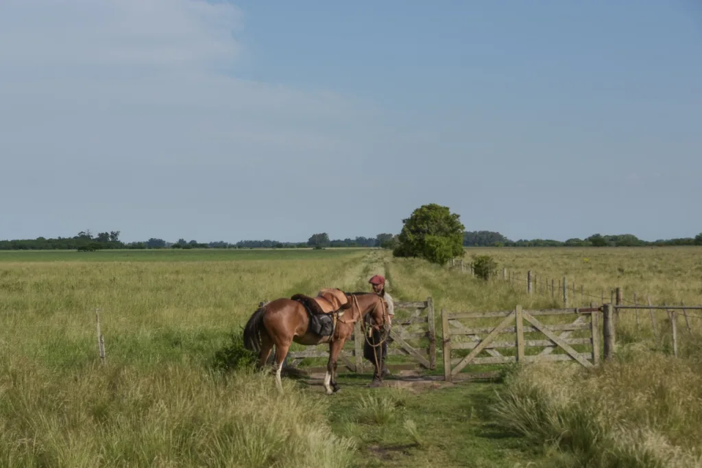2019 · Cabalgatas del Indio