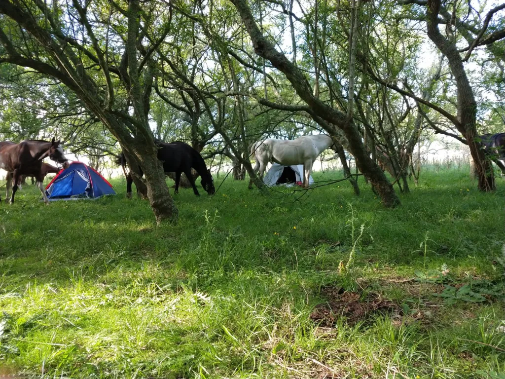 Travesía marzo 2021 · Cabalgatas del Indio