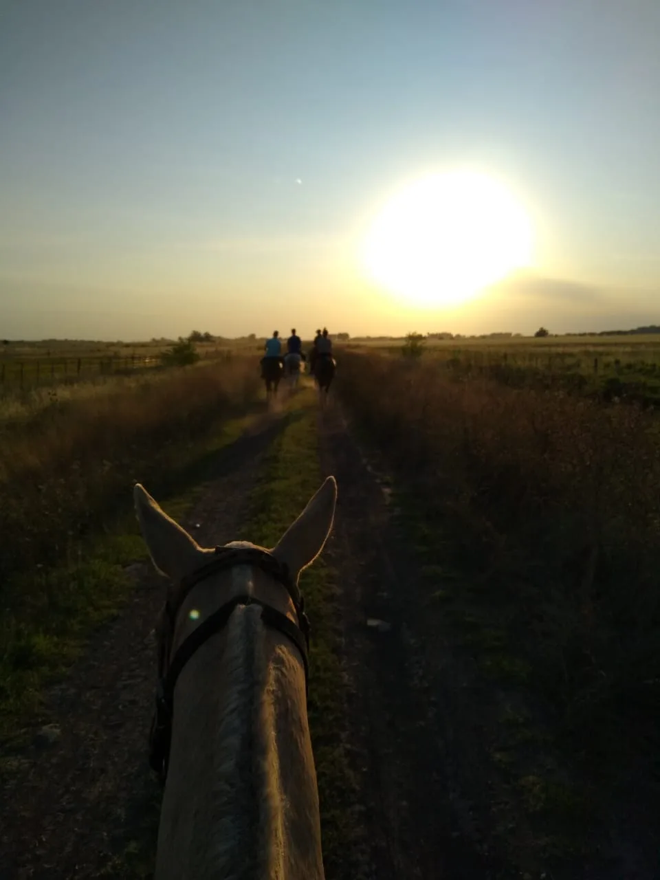 Noches de verano · Cabalgatas del Indio