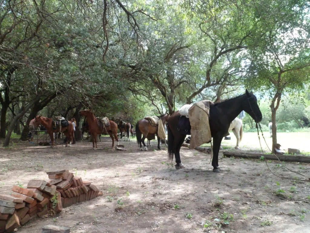 Verano 2017 · Cabalgatas del Indio