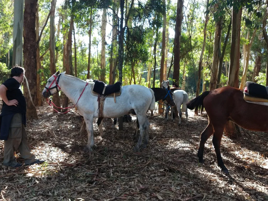 Travesía abril 2021 · Cabalgatas del Indio