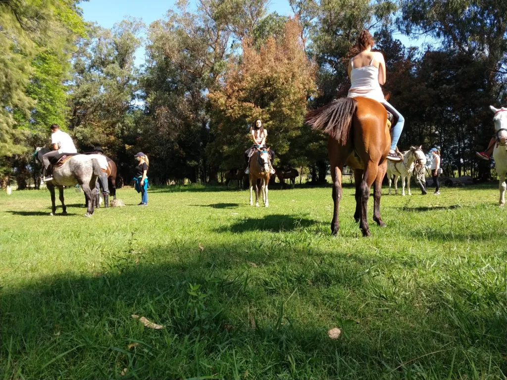 Noches de verano 2021 · Cabalgatas del Indio