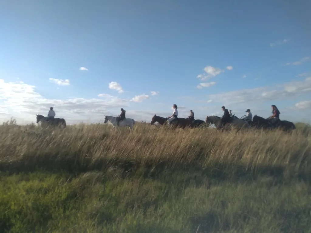 Diciembre 2020 – la vuelta · Cabalgatas del Indio