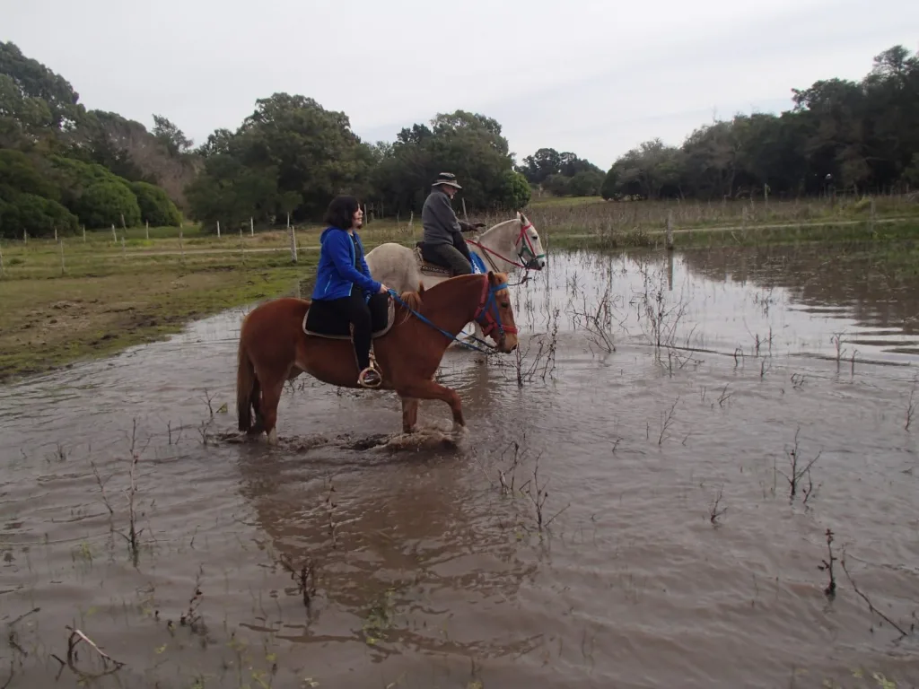 2016 · Cabalgatas del Indio