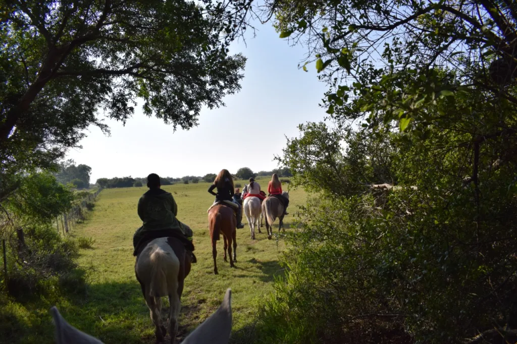 2018 · Cabalgatas del Indio